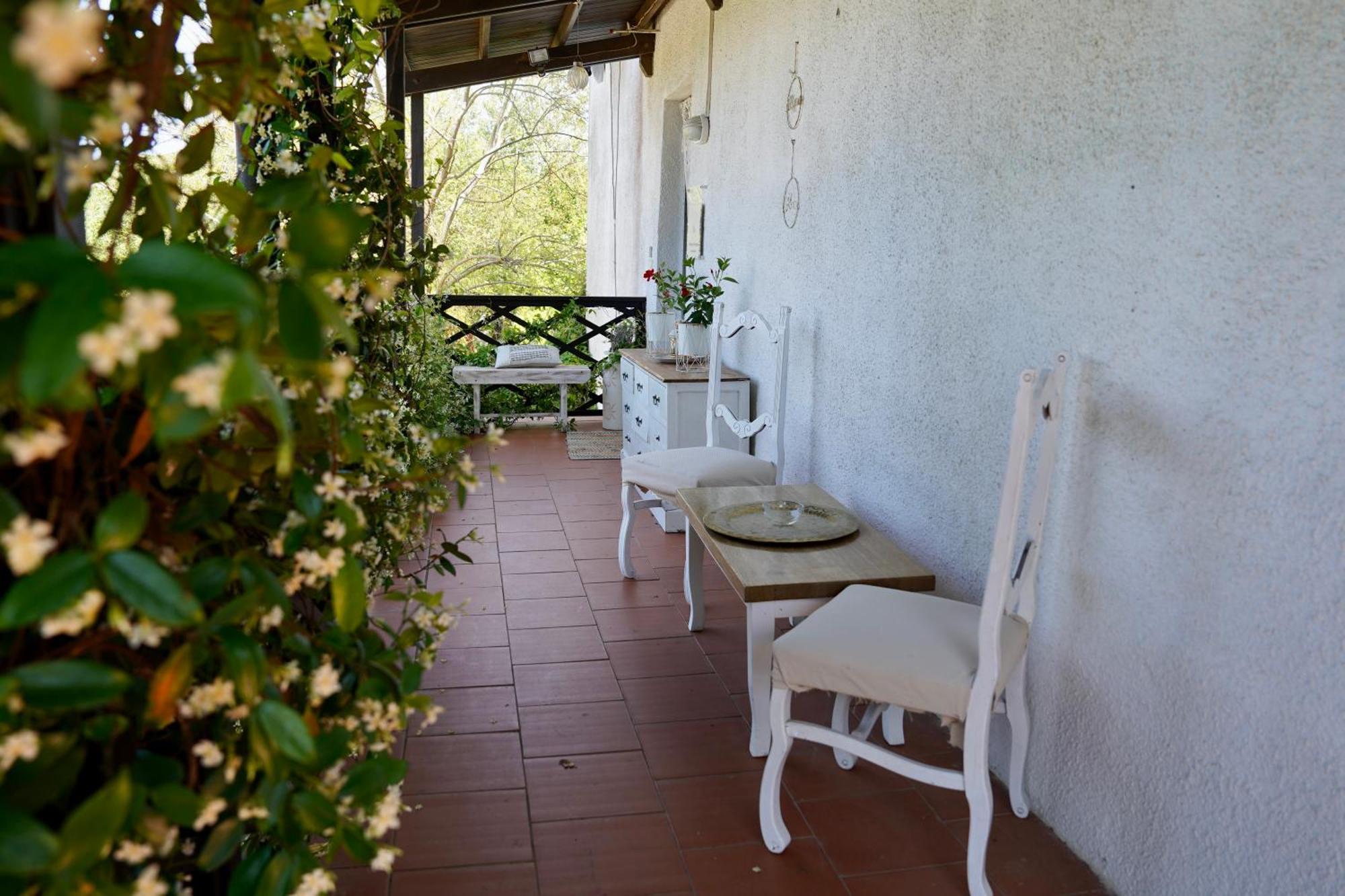B&B Il Piccolo Paradiso Montenero  Екстериор снимка
